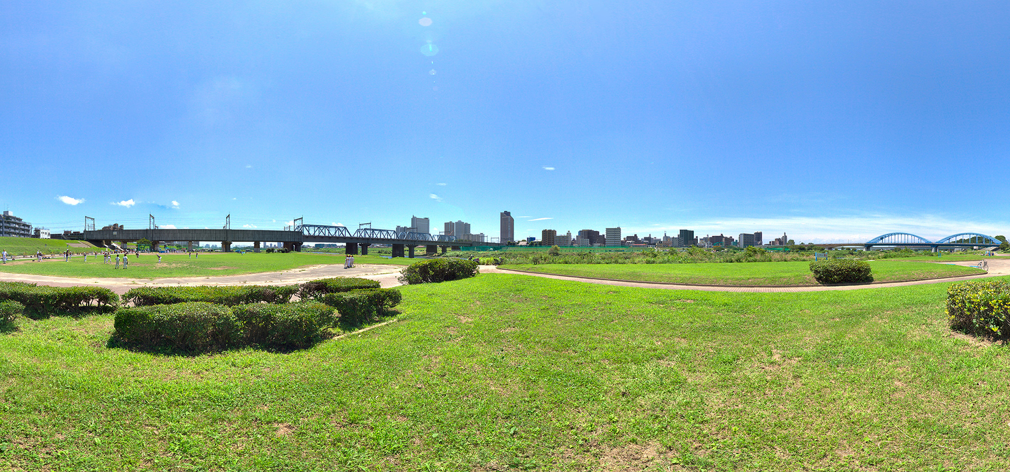 さいかつ行政書士事務所